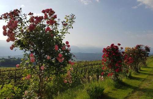 DAS MATSCHER Residence & Garden Hotel - Foto 48