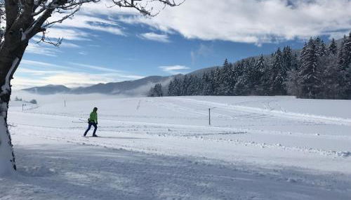 Le Chevreuil - Photo 2