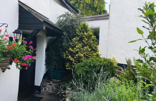 Annery Kiln Great Torrington - Foto 8