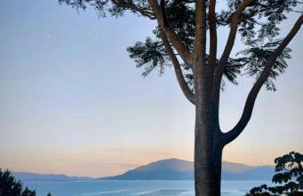 GREEN HOUSE - com linda vista para o mar - Foto 19