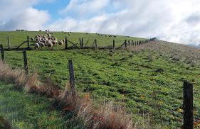 Le gîte des Aubèles - Photo 19