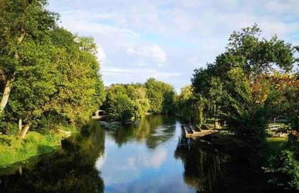 La Jarnacaise - Foto 14