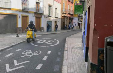 Remolars Sevilla - Foto 39