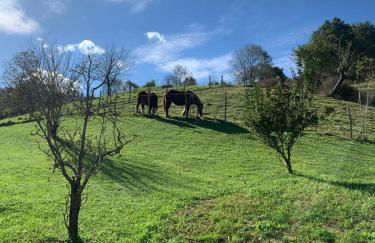 LA CASA AZUL, un oasis de calma, vistas impresionantes con PISCINA, SALTADOR, BARBACOA y acceso al río Asón - Foto 47