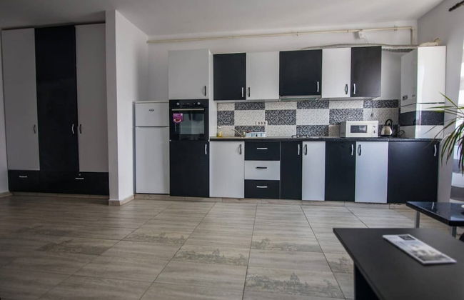 Impeccable 1-bed Studio in Roșu - Foto 9