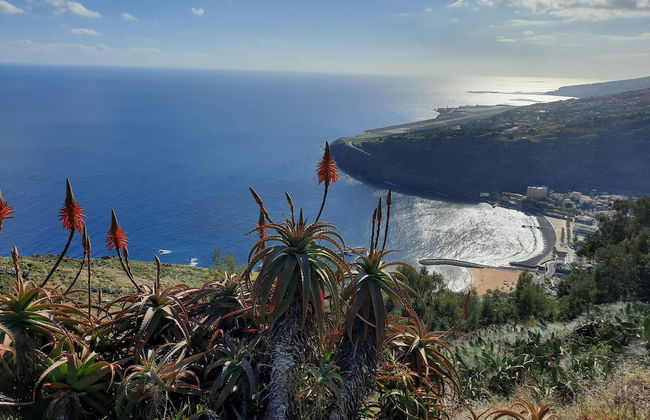 Sunny Beach Machico Apartment - Foto 31