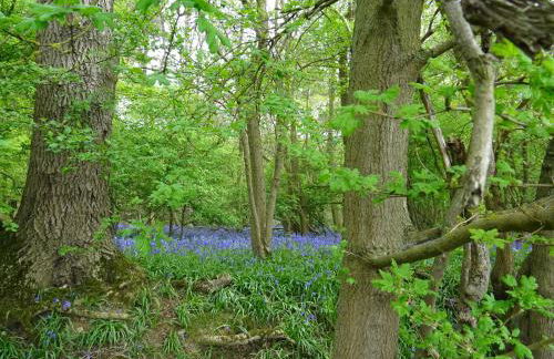 Oakwrights - Foto 20