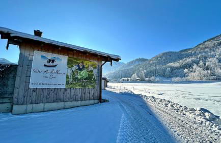 Der Anderlbauer am See - Foto 78