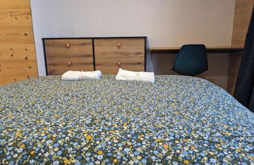 Chazelet - Avec terrasse et jardin - Photo 53