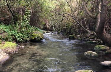 LA CASITA DE EL BOSQUE - Foto 15