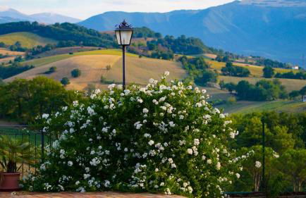 Agriturismo Pascucci - Foto 36