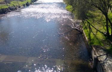 Santa Clara - Photo 39