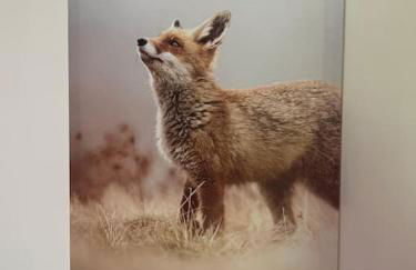 El 15 de Betren - Foto 30