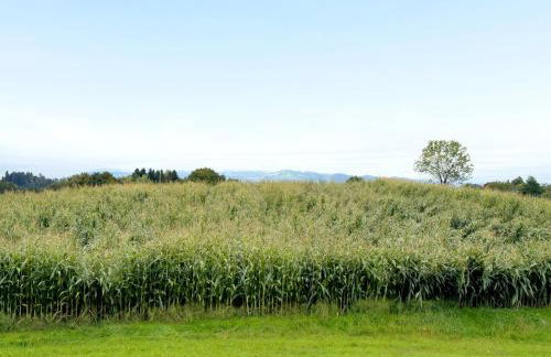 Ferienwohnung Morent - Foto 6