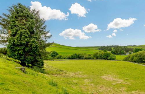 3 Bed in Cerrigydrudion 88206 - Photo 13