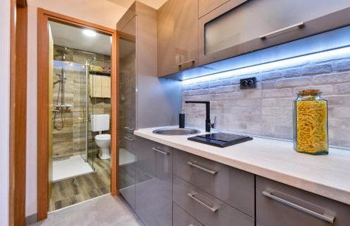 Nice Home In Nova Diklenica With Sauna - Foto 24