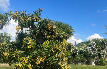 THE MANSION OF DIONISOS AND DIMITRAS 2 - Foto 18