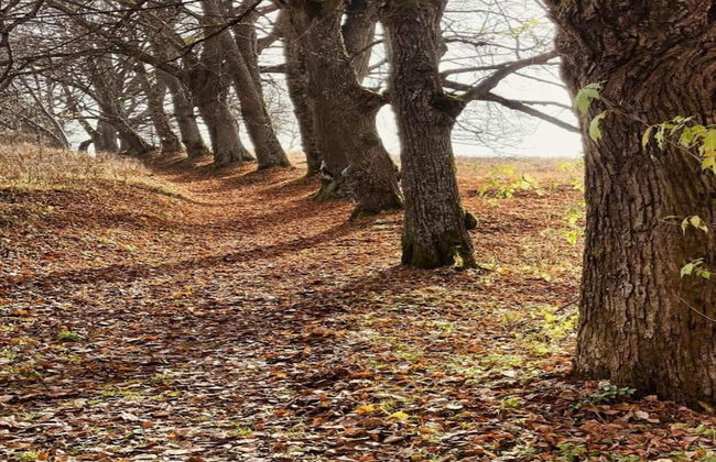 Snug Apartment in Jachymov near Ski Area - Photo 32