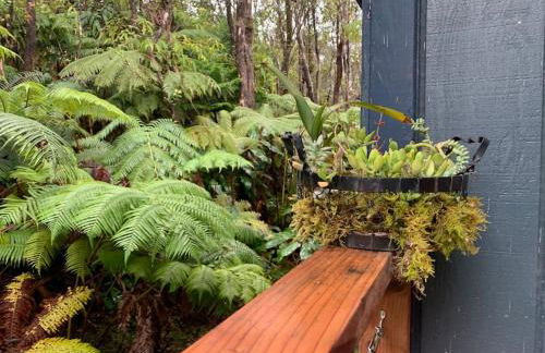 Puolani Iki-Sweet lil cottage near National Park - Foto 17