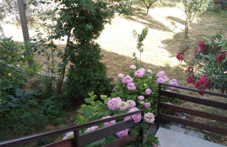 Villa Suzana - Foto 18