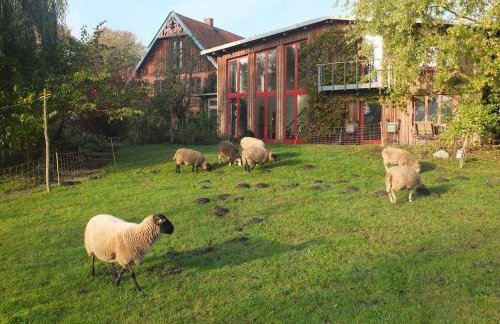 Atelierwohnung Hof Kranichmoor - Foto 28