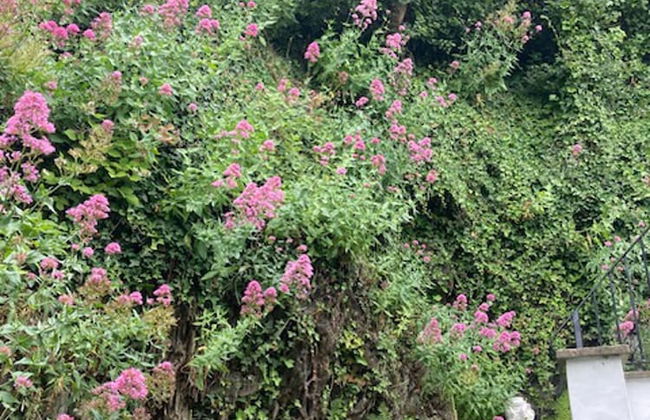 Stable Cottage - Braunton - Sleeps 4 - Pet Allowed - Foto 24