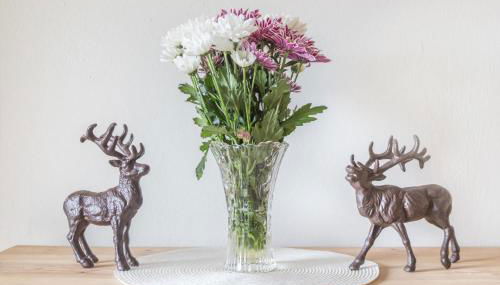 Fewo beim Nik mit Wanderreitstation - Foto 4