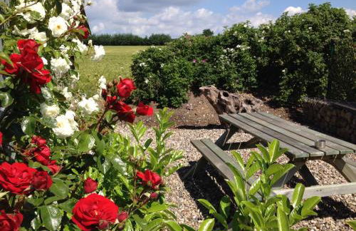 Familienfreundliche Ferienwohnung am Reuterteich - Foto 27
