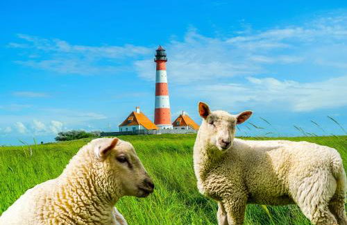 EBBEUNFLUT - Photo 48