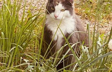 bei den Hundertelfen - Foto 21