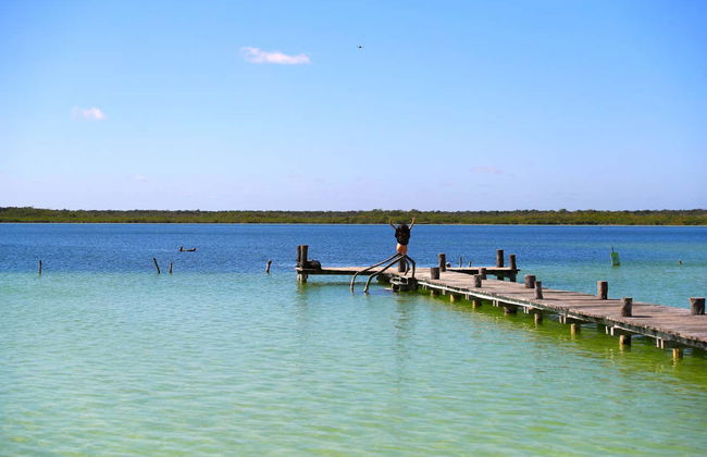 Excursión a la laguna de Kaan Luum y cenotes mayas - Foto 16