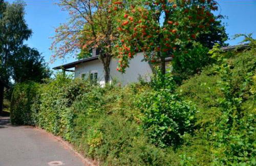 Eifelblick über dem See - Foto 17