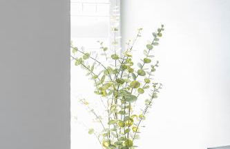 Barmouth High Street Family Apartment - Foto 3