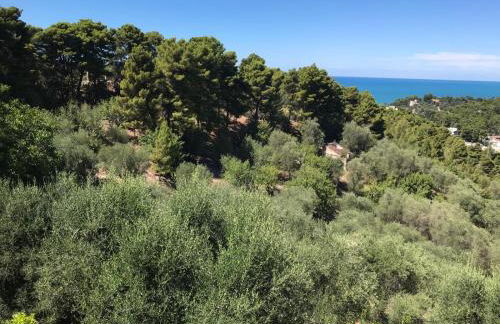 VILLA PINETA VISTA MARE - Foto 62