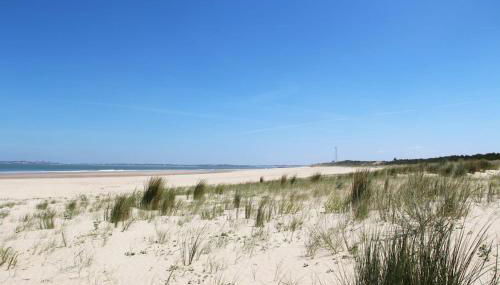 Appartement pour 4 à 6 personnes avec piscine - Foto 4