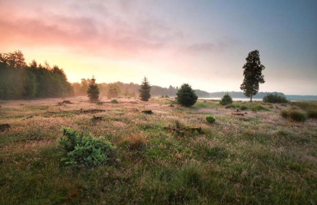 Holiday Home Mantinge Near Nature Reserve - Foto 35