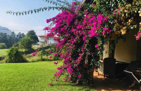 Acogedora Casa en Asturias - Foto 9