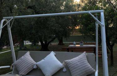 Green Olive Studios - Photo 35