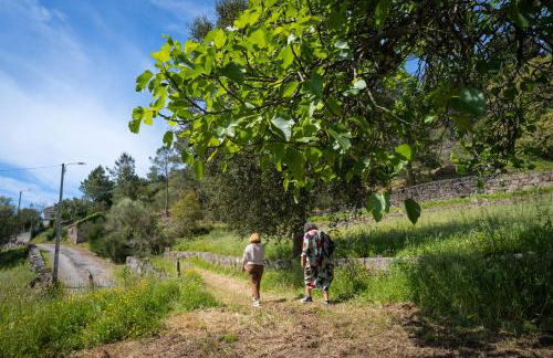 O Refugio Nas Vinhas - Foto 6