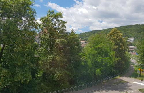 Waldshut-Zentrum - Foto 6