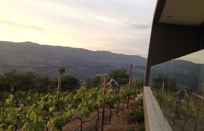 Vald'arêgos Douro Turismo Rural - Foto 38