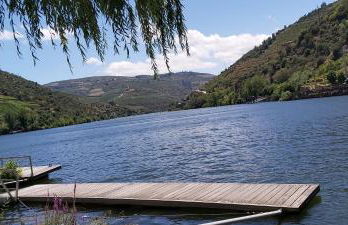 Casa do Jornaleiro - Douro - Foto 29