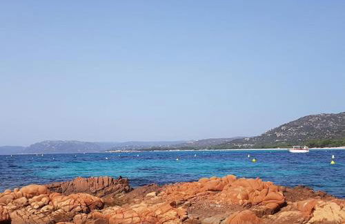 T2 neuf 4 personnes avec piscine/terrain tennis - Foto 17