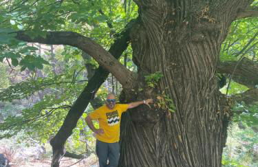 Casa El Higueral - Foto 39