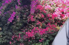 Casa de Celebrar a Vida - Foto 52