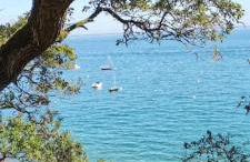 L'échappée nocturne Nature et Zen - Foto 13