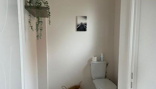 Flou de Pin - Foto 5