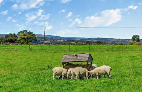 3 Bed in Yeovil oc-htorv - Foto 17