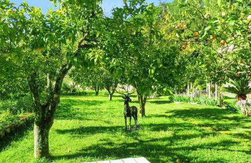 Charming House with Shared Pool in Porto de Mós. - Foto 19