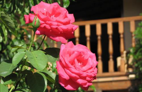 Viviendas Rurales Aldea de Dosamantes - Photo 30